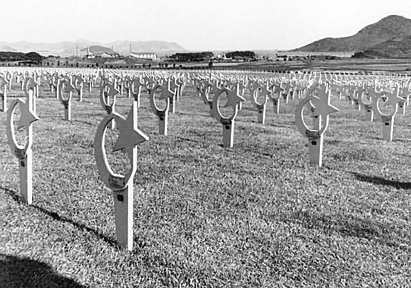 Turkish Graves; U.N. War Cemetery; Pusan