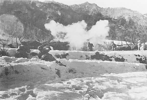 CCF 79th Division at Chosin