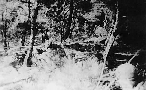 CCF 38th Army