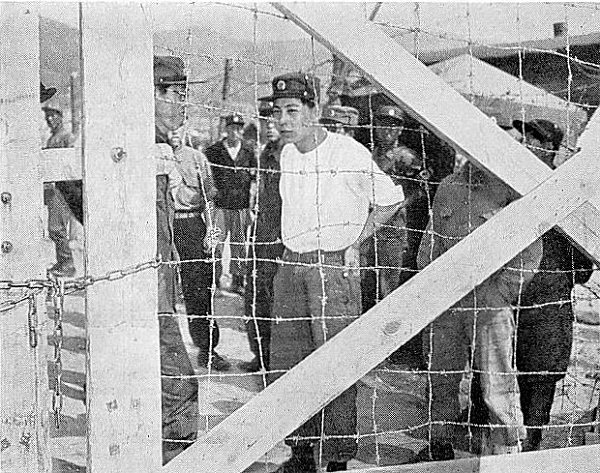 Koje Prisoners
