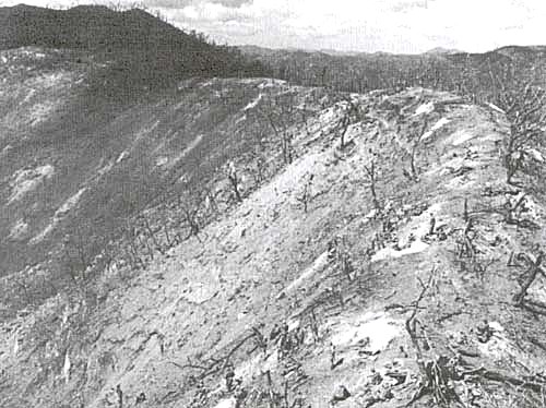 Photo: Bloody Ridge (National Archives)