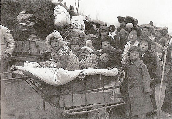 A Cartload of Very Young Refugees