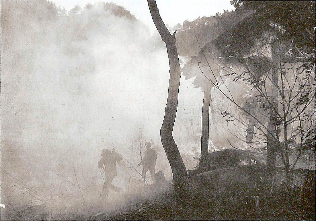   Marines Under Fire   (right click, view image to see actual photo)