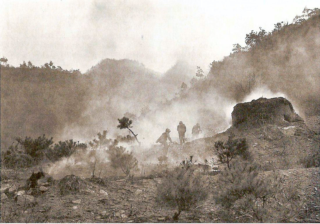  Marines Advance in the Yanggu Area  (right click, view image to see actual photo)