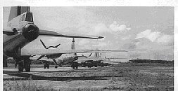b29