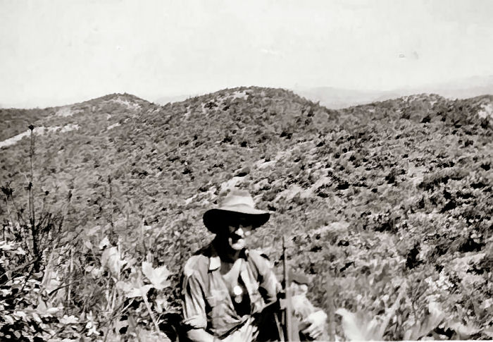Guerilla Hunt