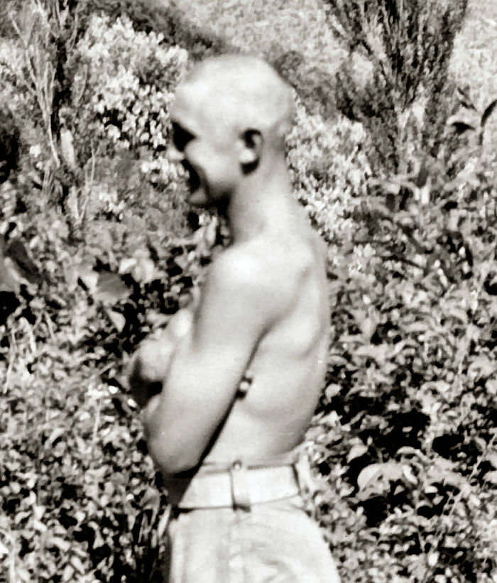 Hairless Wonder