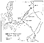 Thumbnail Image, Map, Ambush of Truck Convoy