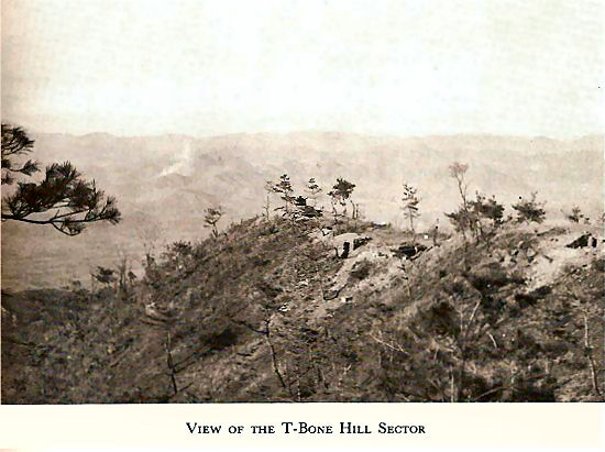 View of the T-Bone Hill Sector